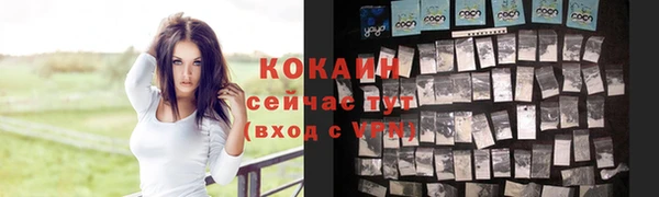 стаф Липки