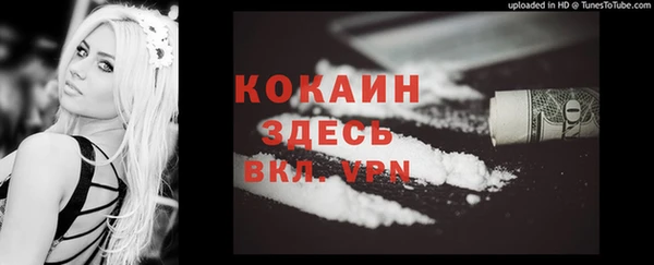 стаф Липки