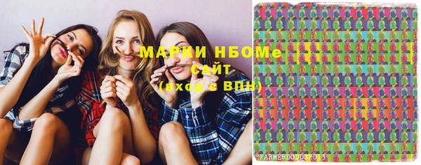 стаф Липки