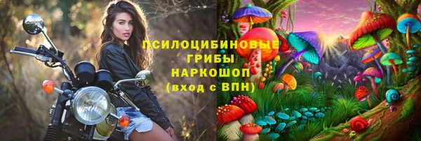 стаф Липки