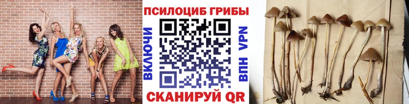 Галлюциногенные грибы прущие грибы  Севастополь 